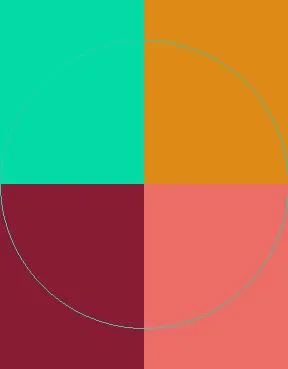 At gemino jus ludus proprius roto.